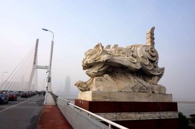 江西游之 南昌新八一大橋的白貓黑貓